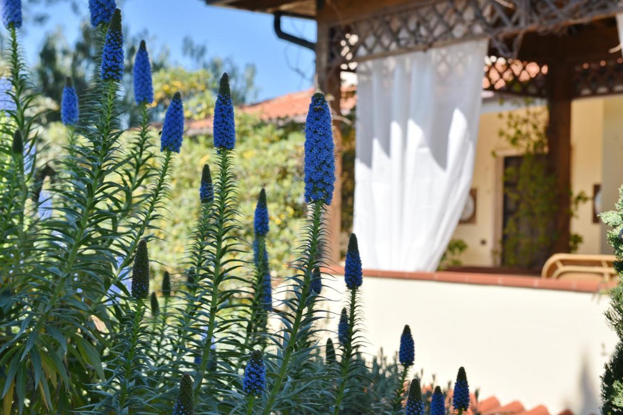 Villa Tina Santa Maria di Castellabate Zewnętrze zdjęcie